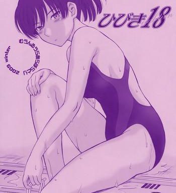 hibiki 18 cover