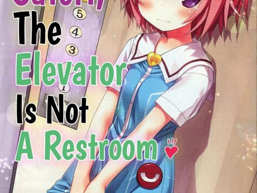 komeiji satori no elevator wa toilet ja arimasen komeiji satori the elevator is not a restroom cover