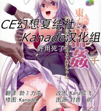 touhou lynch 1 choushi ni norisugita udonge chan cover