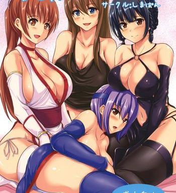 doa harem 2 cover 1