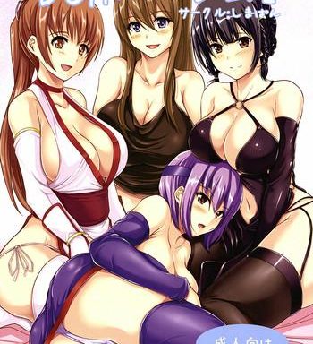 doa harem 2 cover