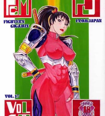 fighters gigamix fgm vol 17 cover