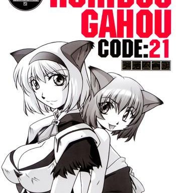 ruridou gahou code 21 cover