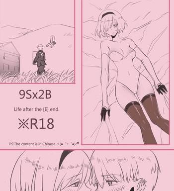ws 9sx2b life after the e end nier automata chinese cover