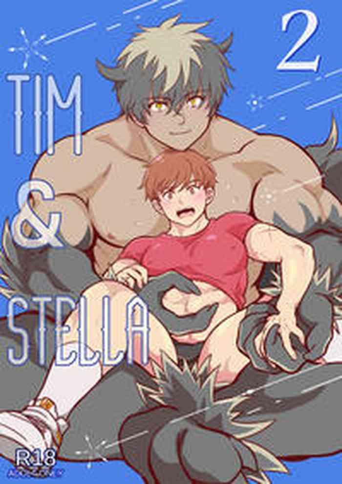 tim stella 2 cover