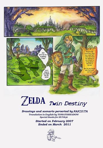 zelda twin destiny passage english cover