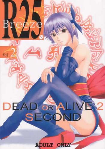 r25 vol 2 doa2 second cover