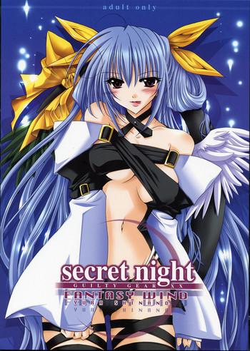 secret night cover 1