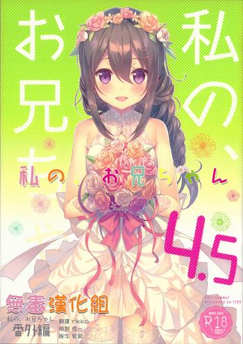 watashi no onii chan 4 5 bangaihen cover