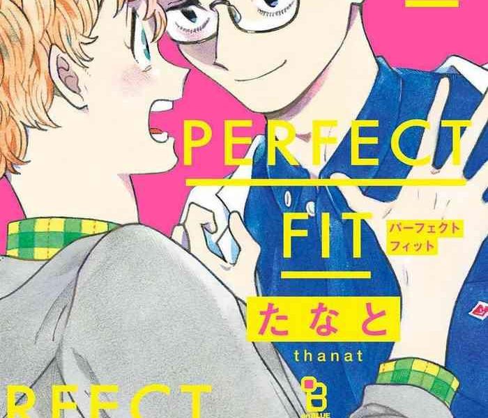 perfect fit ch 1 10 cover
