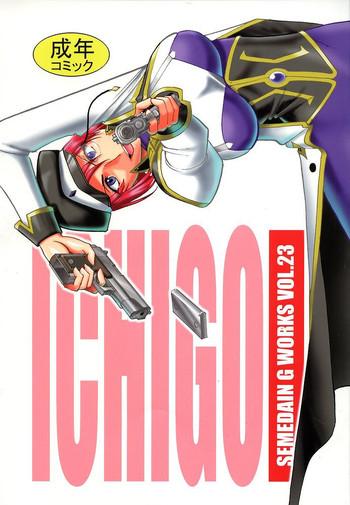 semedain g works vol 23 ichigo cover