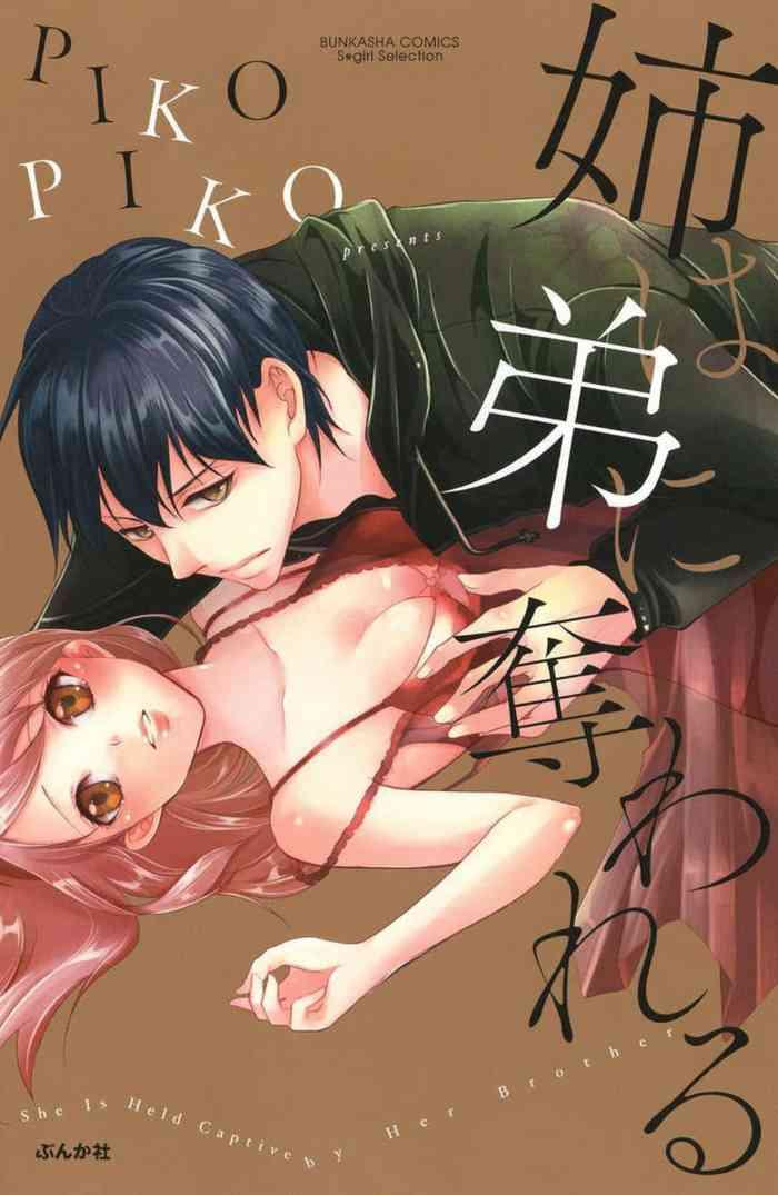 ane wa otouto ni ubawareru 1 6 cover