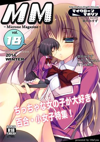 microne magazine vol 18 cover