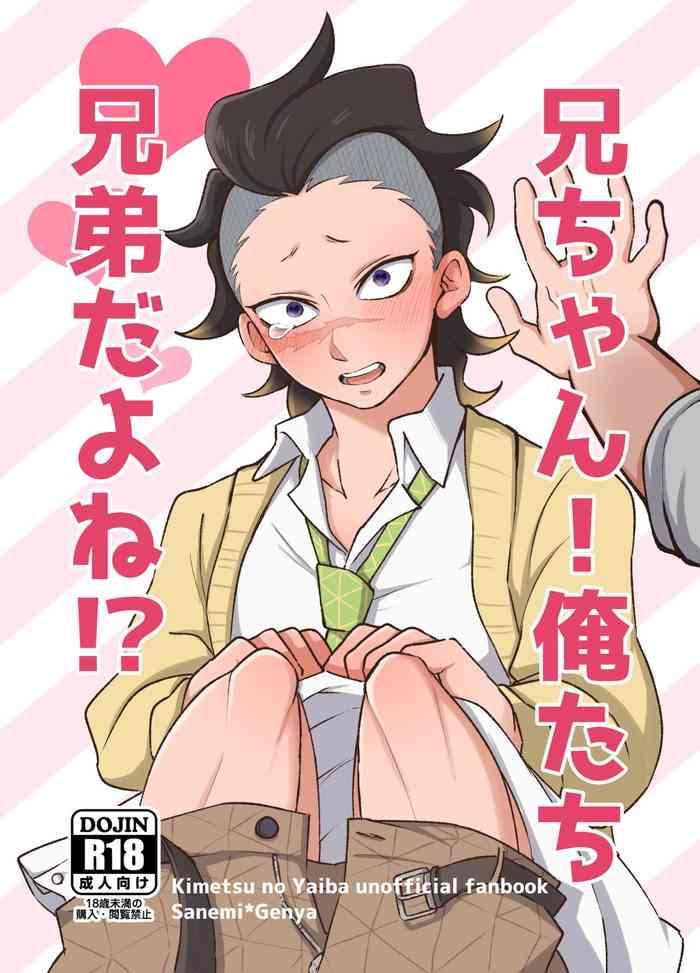 nii chan oretachi kyoudai da yo ne cover