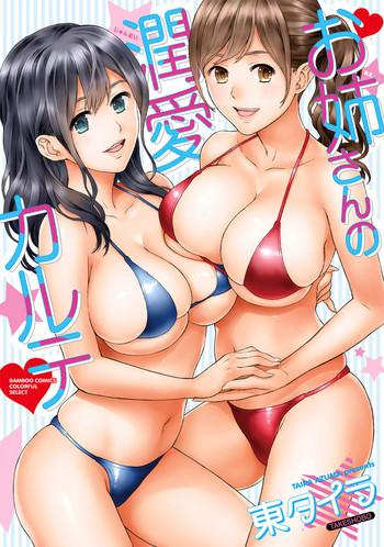 onee san no junai karte cover