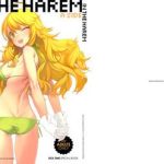 in the harem a side cover