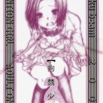 koukin shoujo 2 detention girl 2 cover