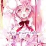 black and white rabbit soushuuhen cover