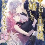 tumugi iro to hisakawa kou ri airu mu haikei misi ranu danna sama rikon si te itadaki masu 01 01 cover