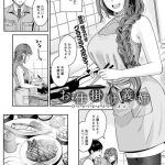 oshikake ane cover