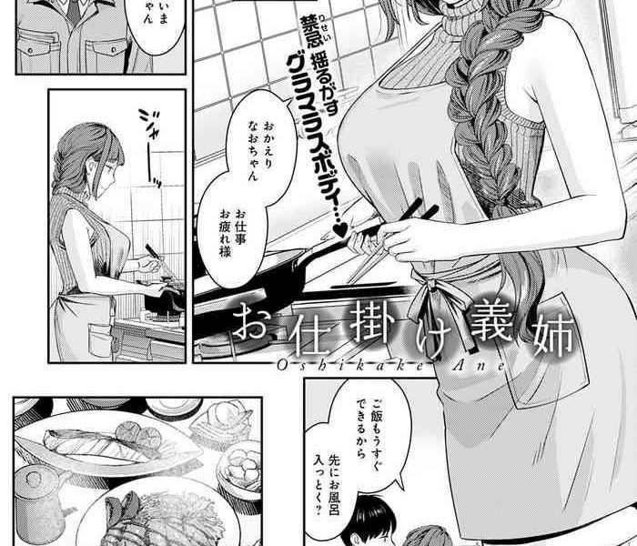 oshikake ane cover