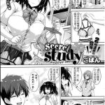 secret study cover