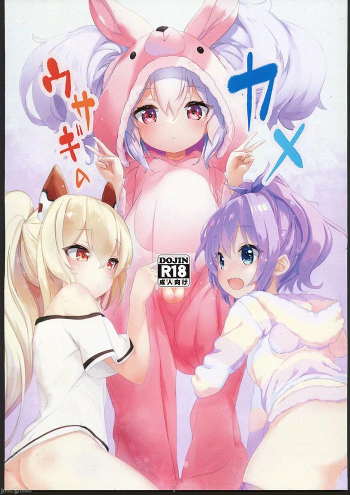 usagi no kame cover