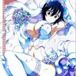 nisenisekoi 7 cover