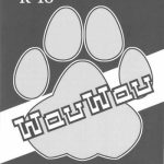 wauwau cover